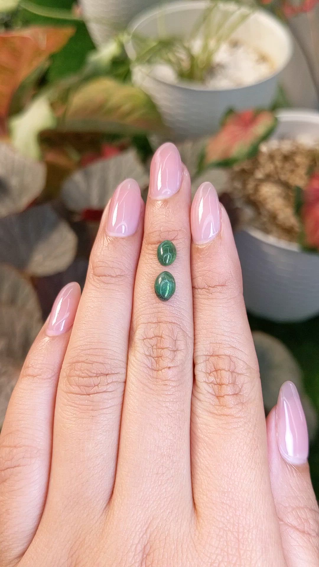 1.41&nbsp;Ct.Tw.Total Carat Weight Green Cabochon Jade Pair from Burma (Myanmar) Size Video