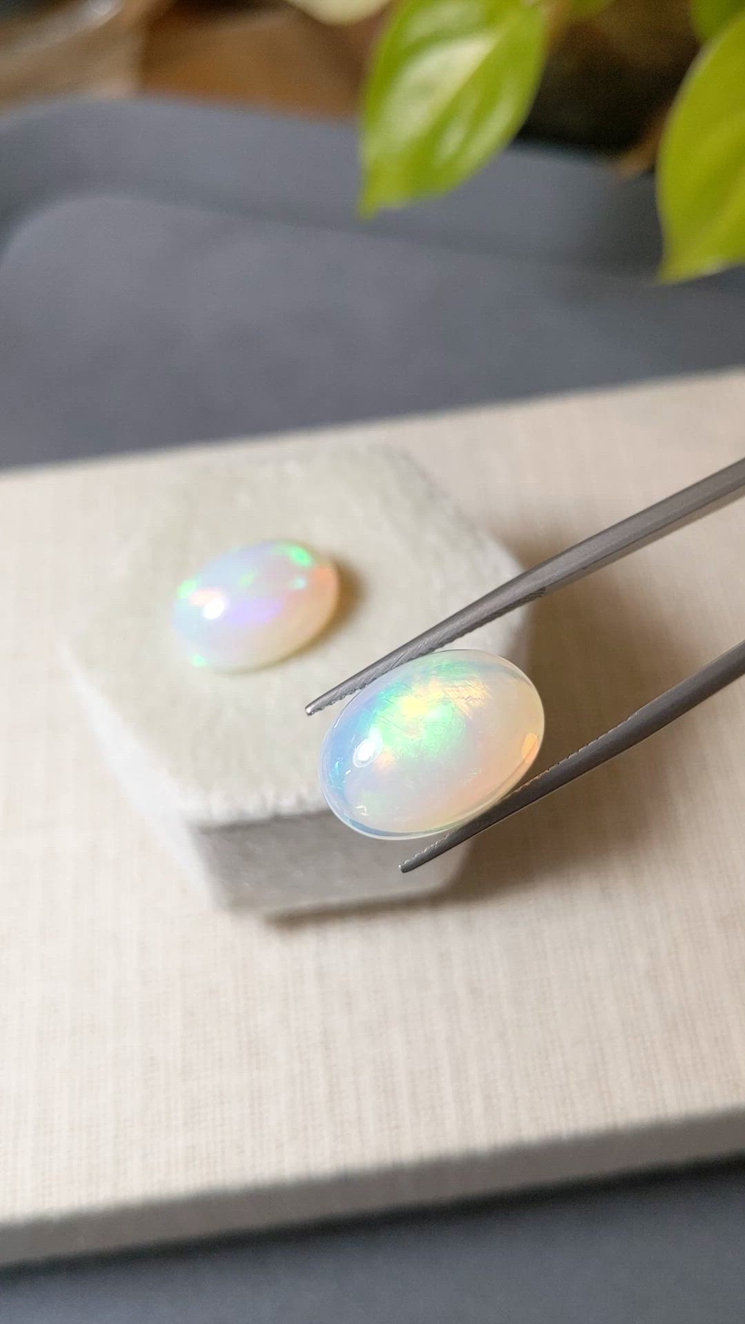 17.78&nbsp;Ct.Tw.Total Carat Weight Multi Color Cabochon Opal Pair from Ethiopia Size Video