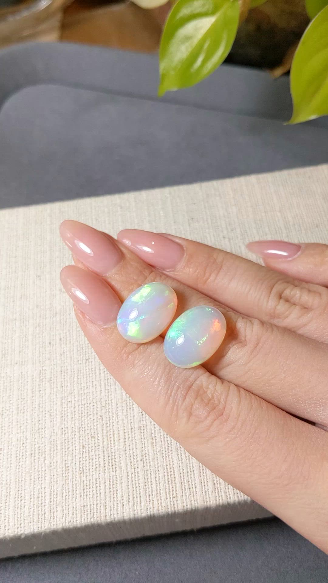 17.78&nbsp;Ct.Tw.Total Carat Weight Multi Color Cabochon Opal Pair from Ethiopia Size Video