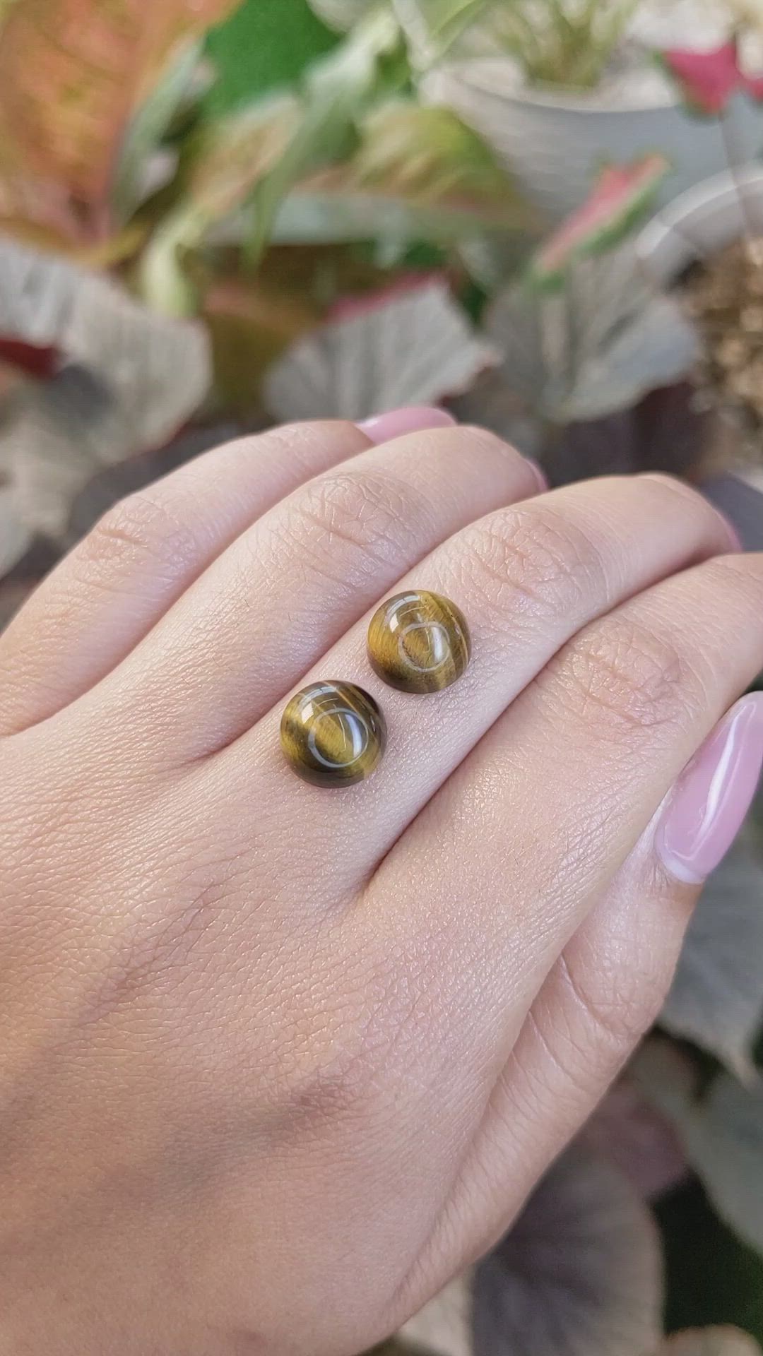 8.69&nbsp;Ct.Tw.Total Carat Weight Cabochon Tiger's Eye Pair from South Africa Size Video