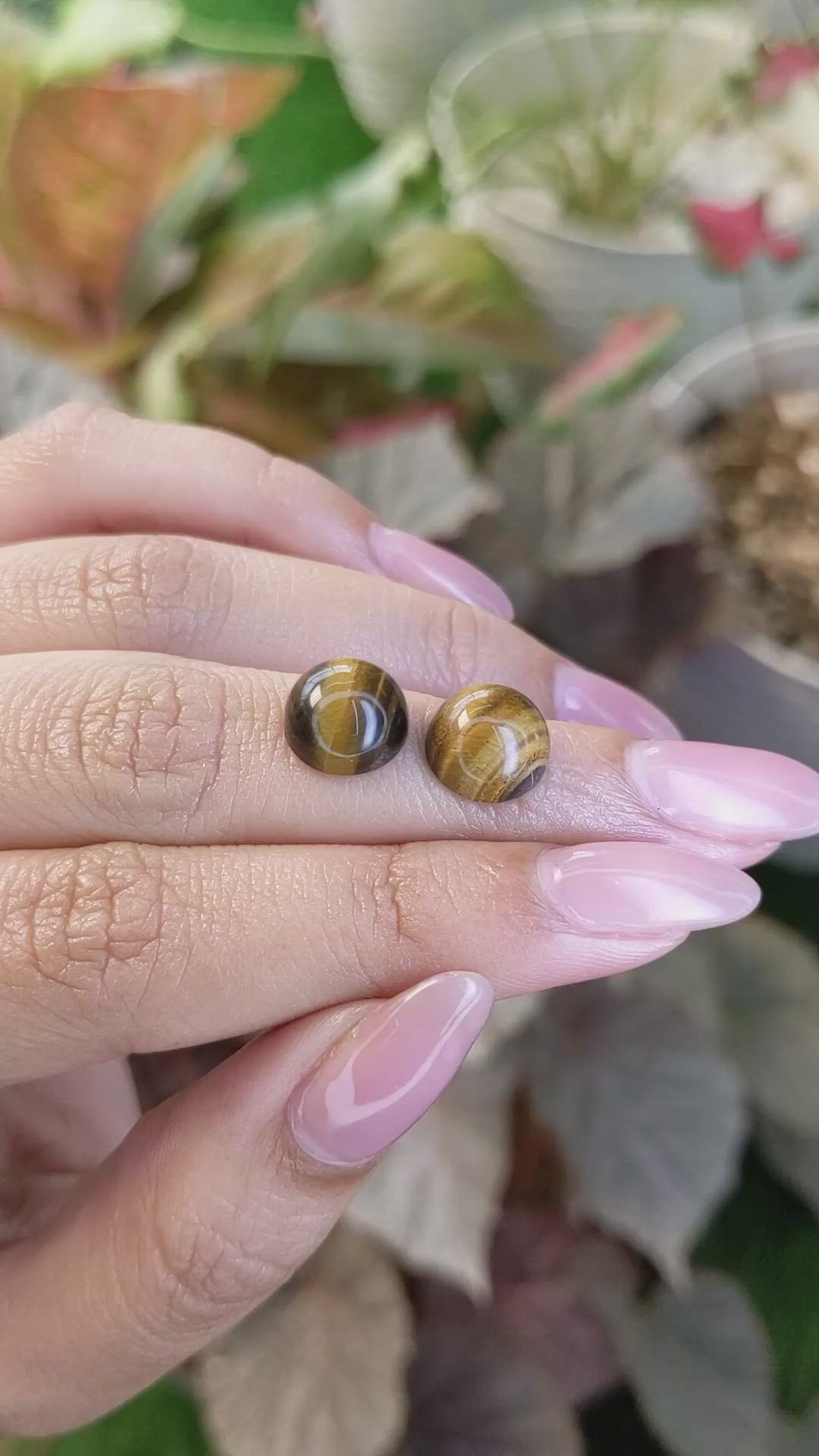 8.69&nbsp;Ct.Tw.Total Carat Weight Cabochon Tiger's Eye Pair from South Africa Size Video