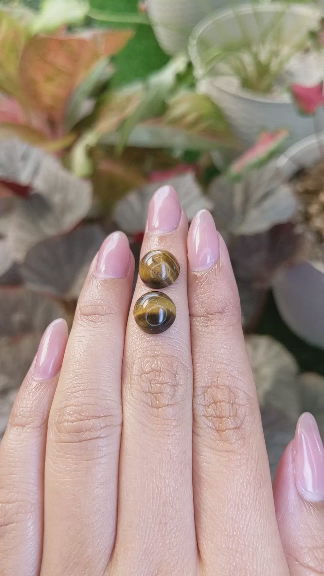 8.69&nbsp;Ct.Tw.Total Carat Weight Cabochon Tiger's Eye Pair from South Africa Size Video