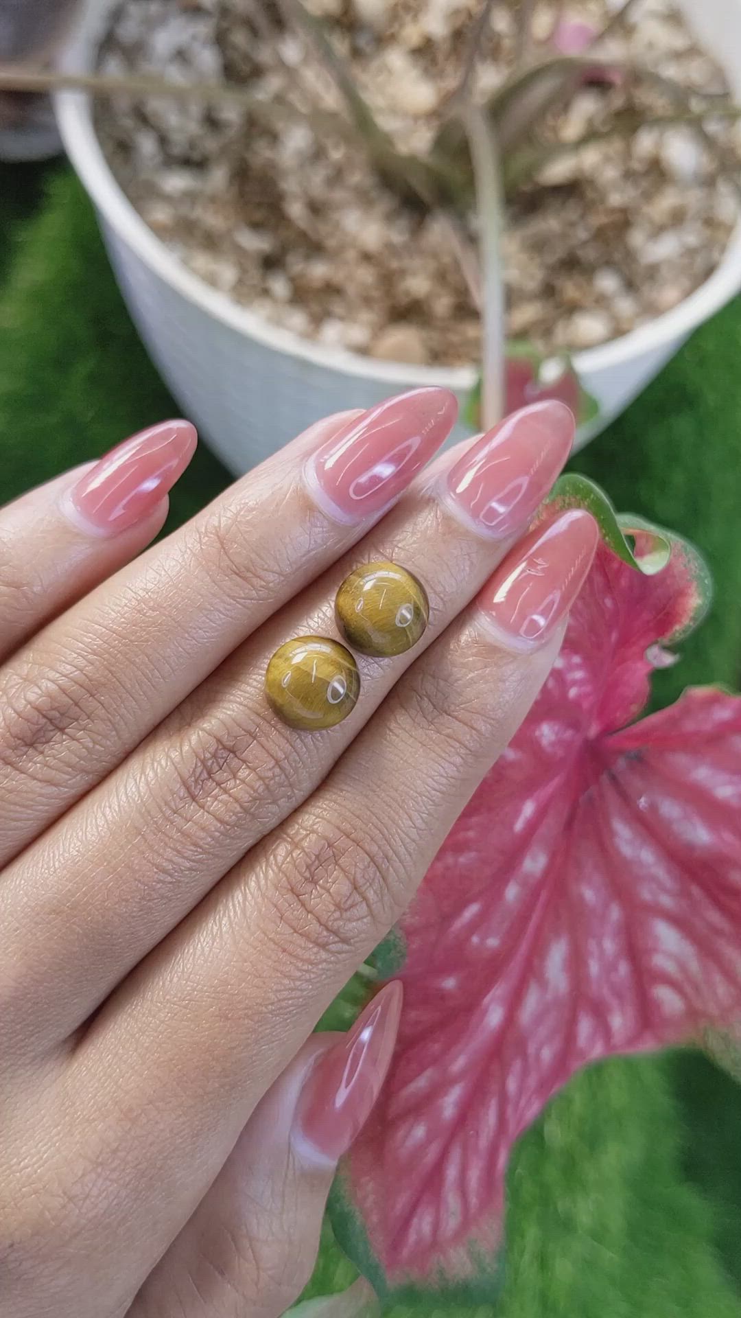 8.65&nbsp;Ct.Tw.Total Carat Weight Cabochon Tiger's Eye Pair from South Africa Size Video