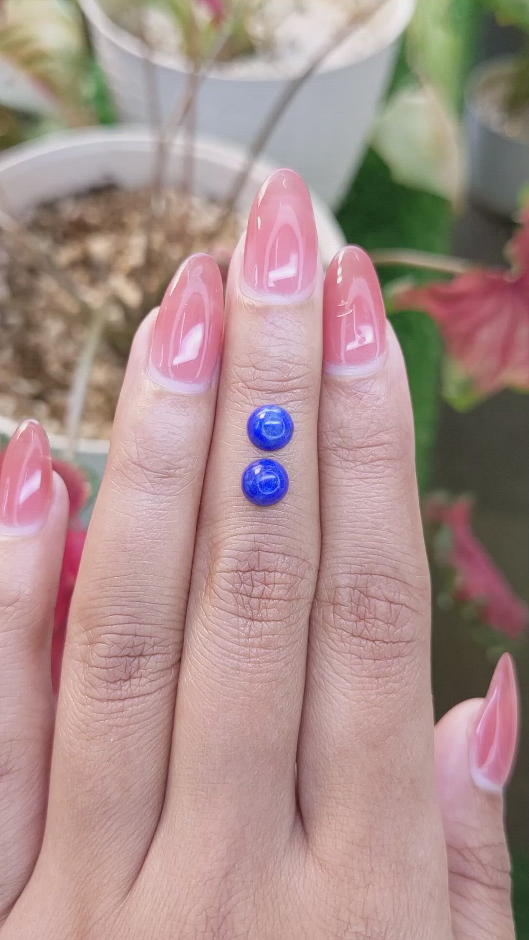 1.84 Ct.Tw.Total Carat Weight Cabochon Lapis Pair from Afghanistan Size Video