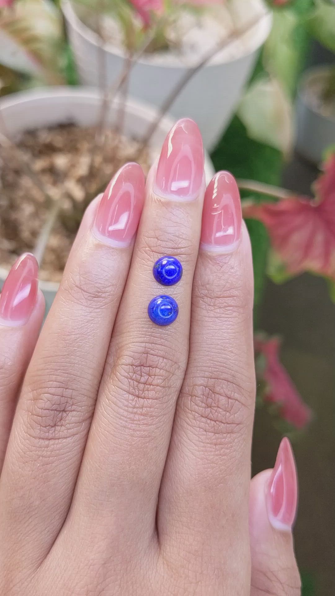2.00 Ct.Tw.Total Carat Weight Cabochon Lapis Pair from Afghanistan Size Video