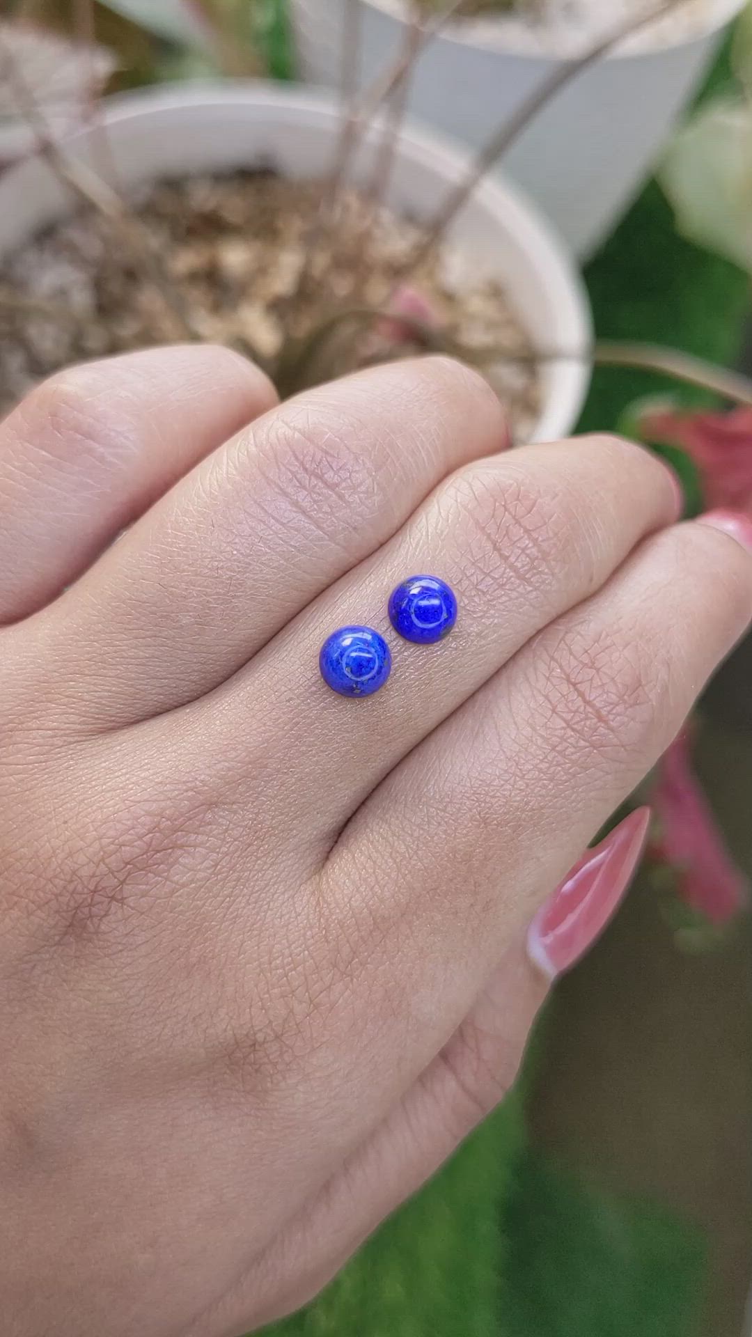 2.00 Ct.Tw.Total Carat Weight Cabochon Lapis Pair from Afghanistan Size Video