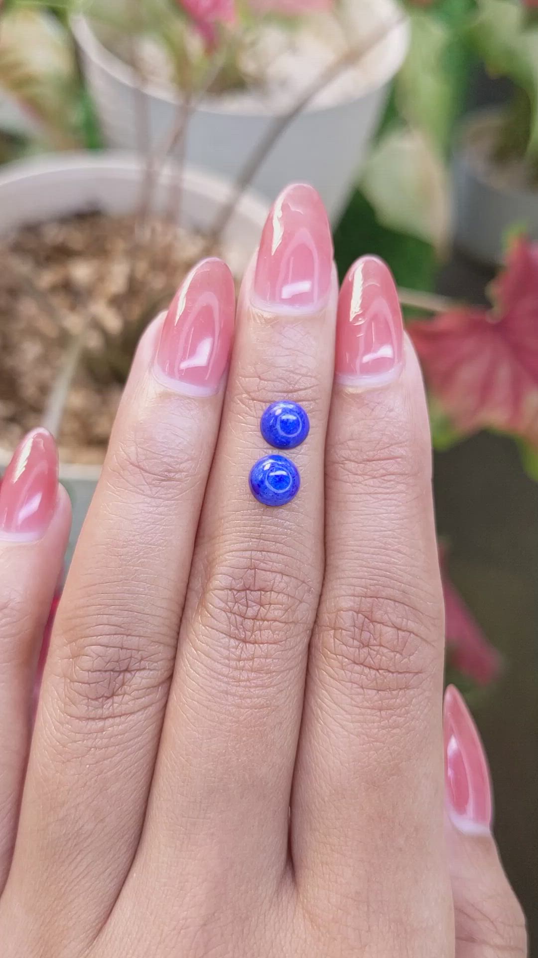 2.00 Ct.Tw.Total Carat Weight Cabochon Lapis Pair from Afghanistan Size Video