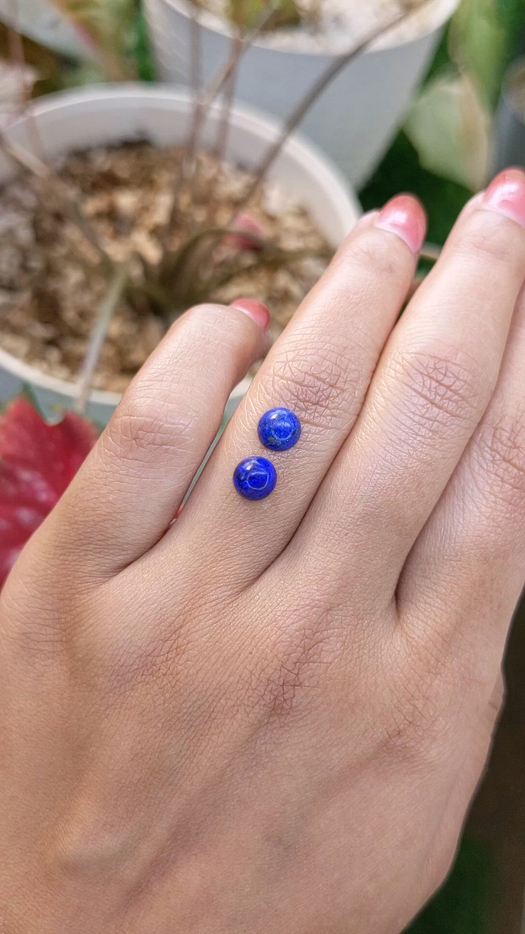 1.85 Ct.Tw.Total Carat Weight Cabochon Lapis Pair from Afghanistan Size Video