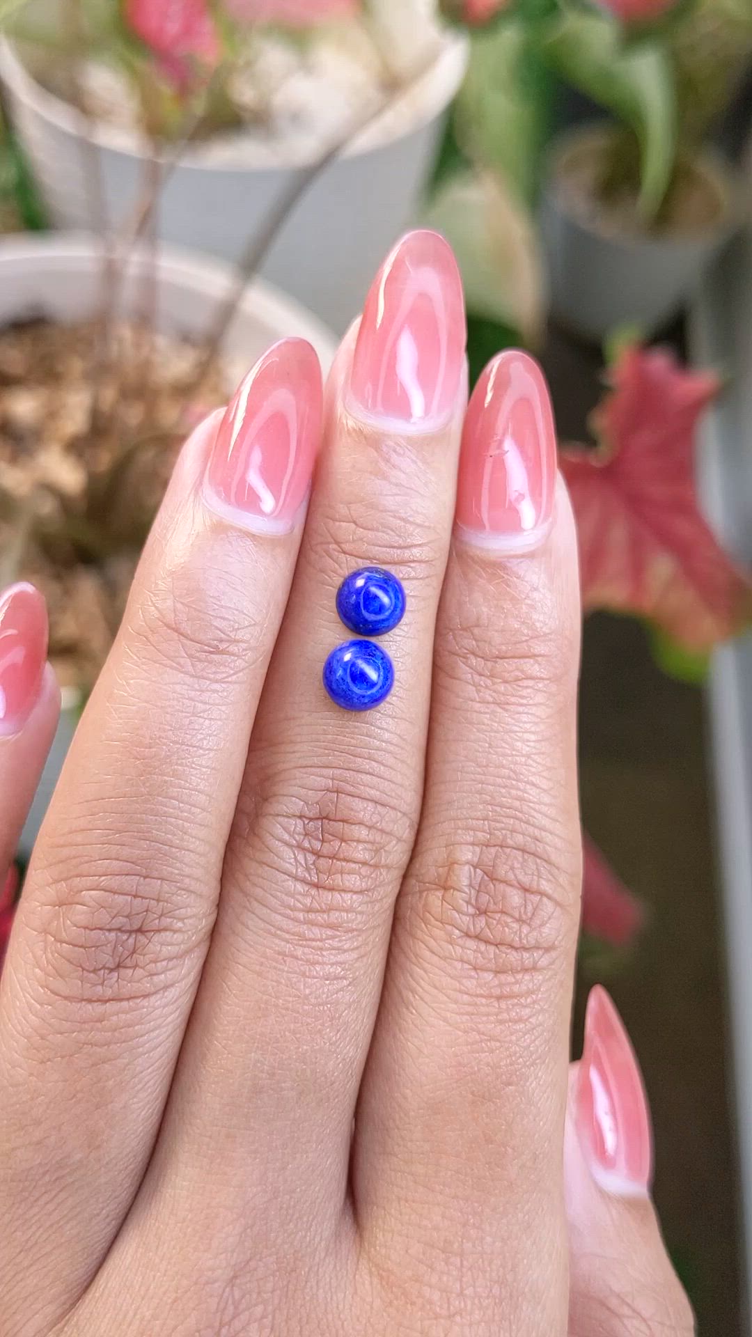 1.98 Ct.Tw.Total Carat Weight Cabochon Lapis Pair from Afghanistan Size Video