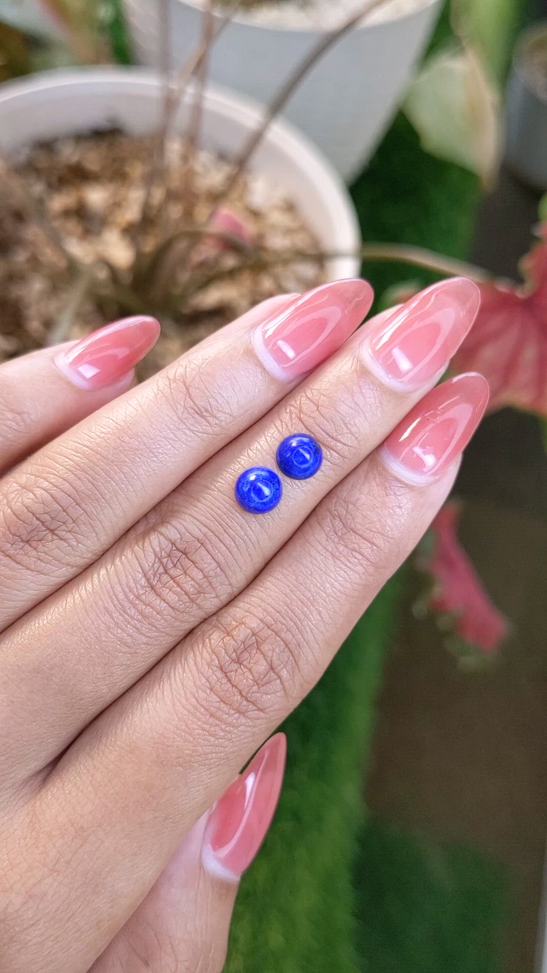 1.98 Ct.Tw.Total Carat Weight Cabochon Lapis Pair from Afghanistan Size Video
