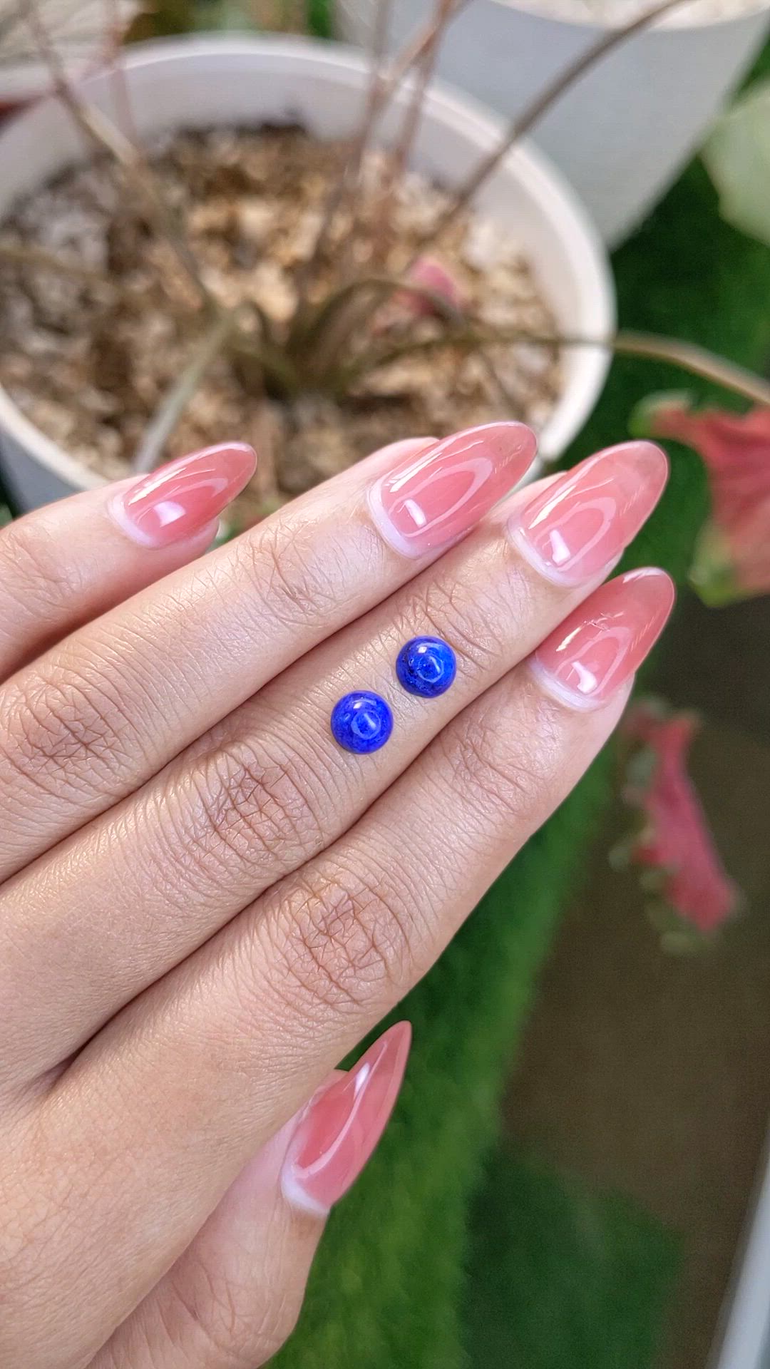 1.84 Ct.Tw.Total Carat Weight Cabochon Lapis Pair from Afghanistan Size Video