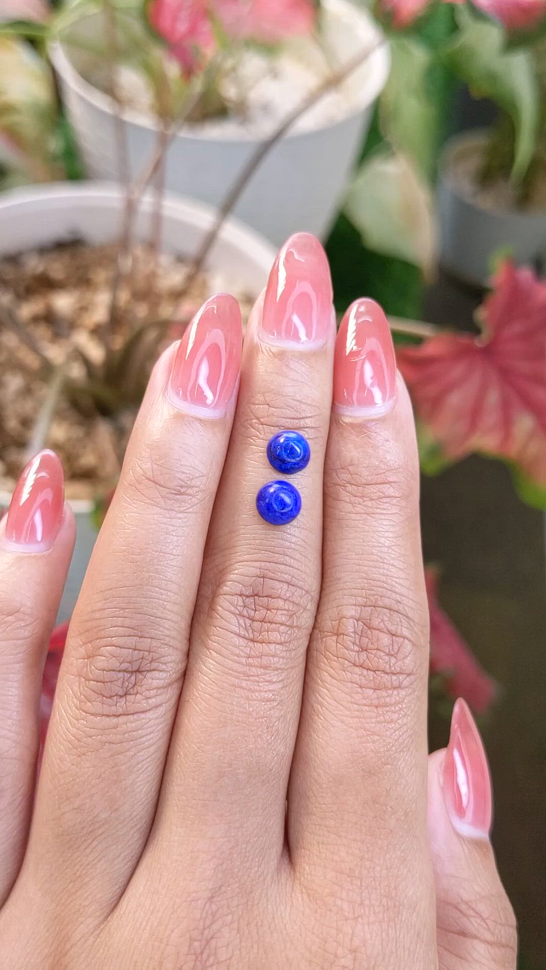 1.84 Ct.Tw.Total Carat Weight Cabochon Lapis Pair from Afghanistan Size Video