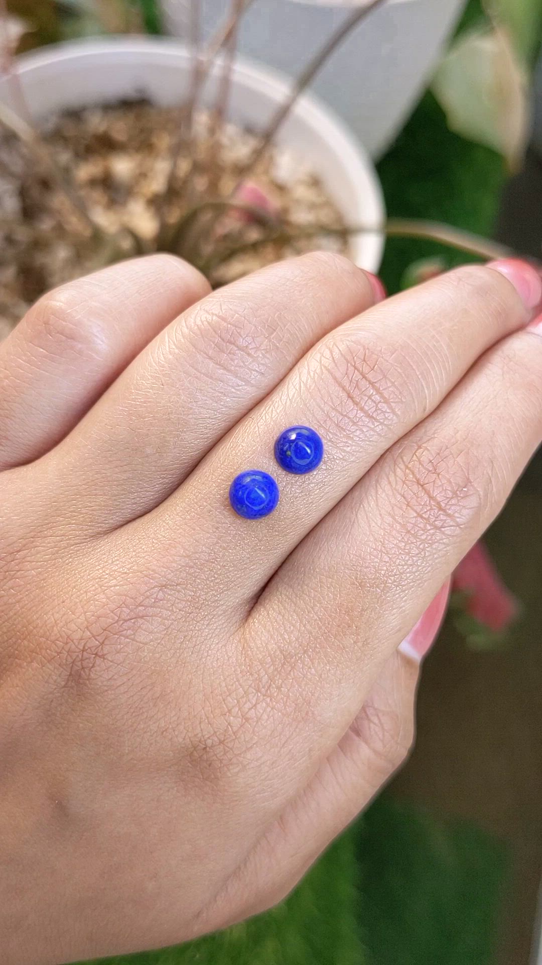 1.91&nbsp;Ct.Tw.Total Carat Weight Cabochon Lapis Pair from Afghanistan Size Video