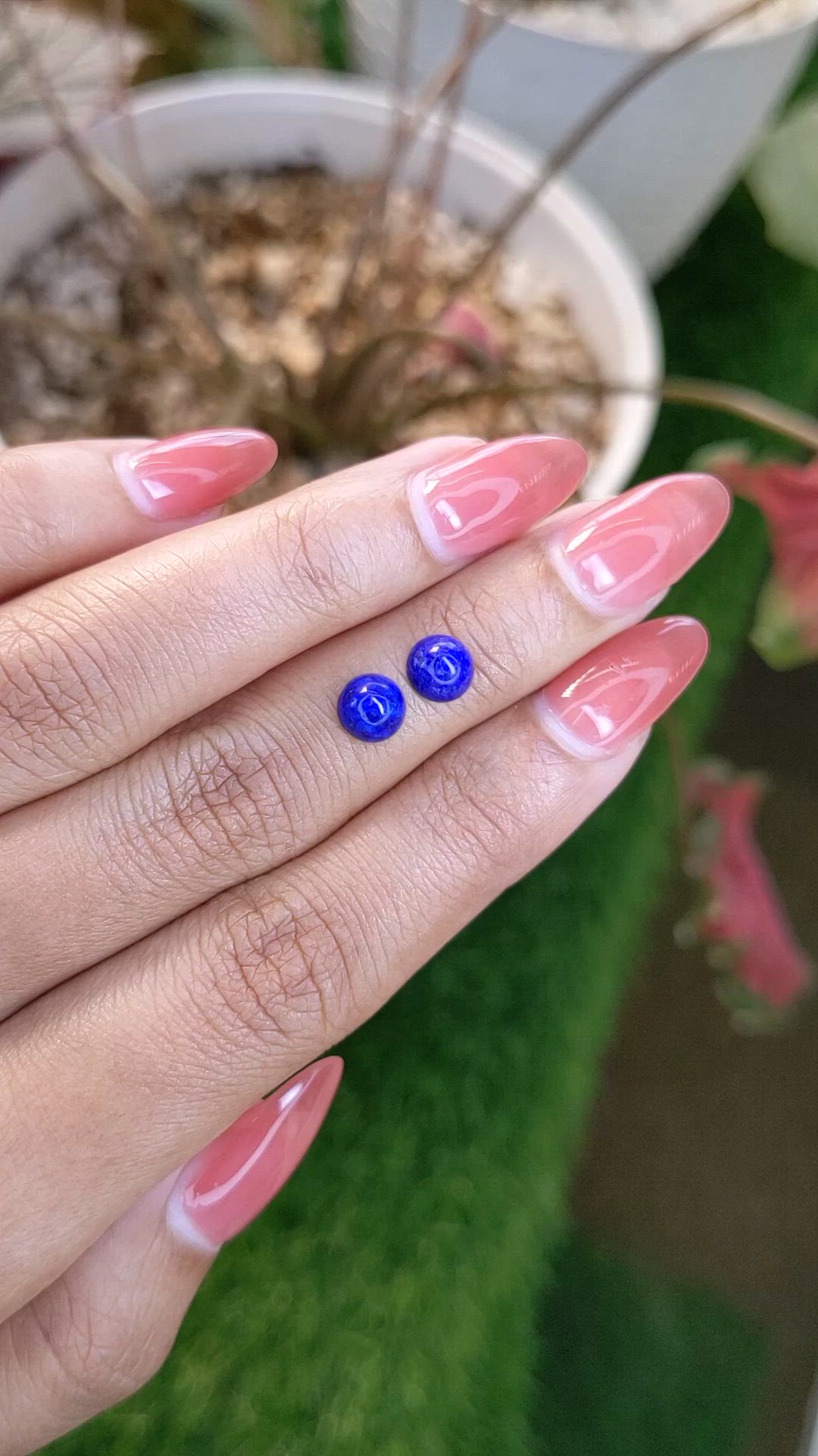 1.80&nbsp;Ct.Tw.Total Carat Weight Cabochon Lapis Pair from Afghanistan Size Video