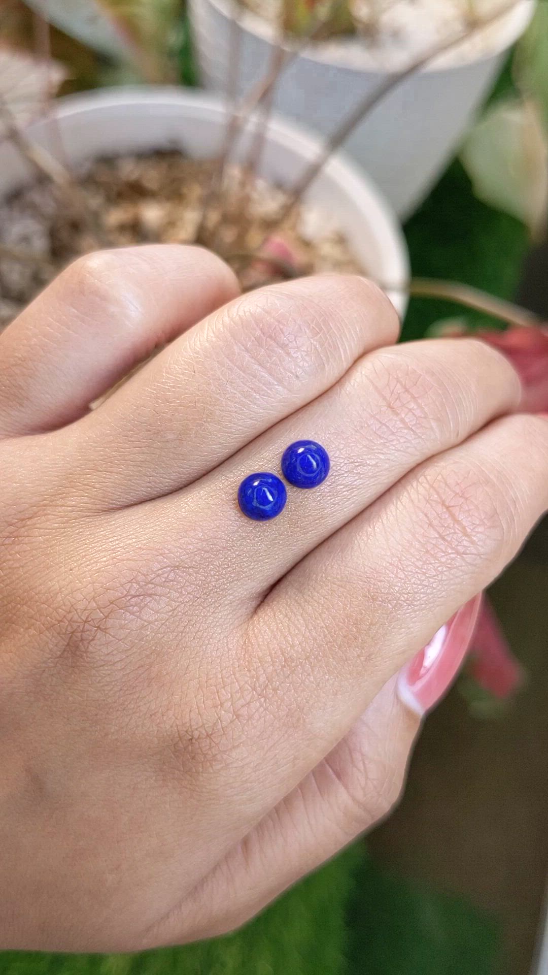 1.80&nbsp;Ct.Tw.Total Carat Weight Cabochon Lapis Pair from Afghanistan Size Video