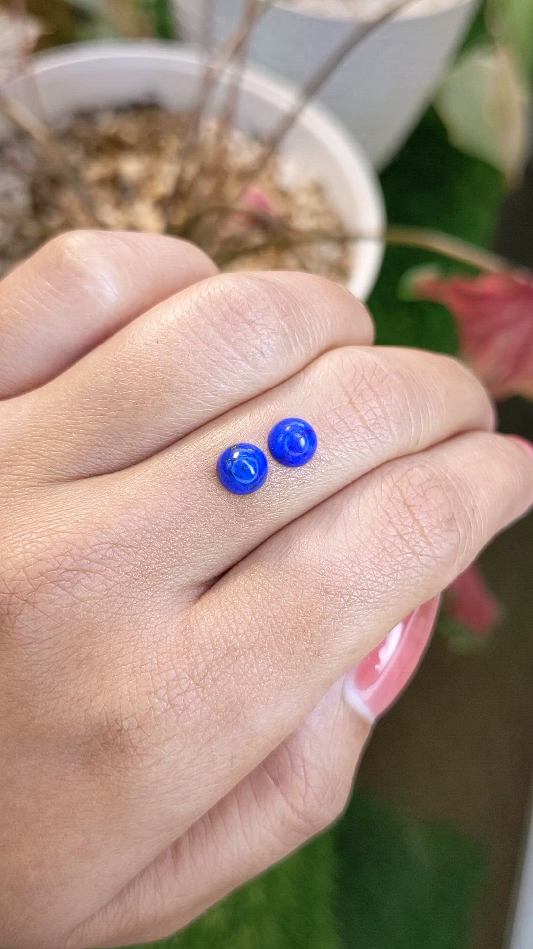 1.89 Ct.Tw.Total Carat Weight Cabochon Lapis Pair from Afghanistan Size Video