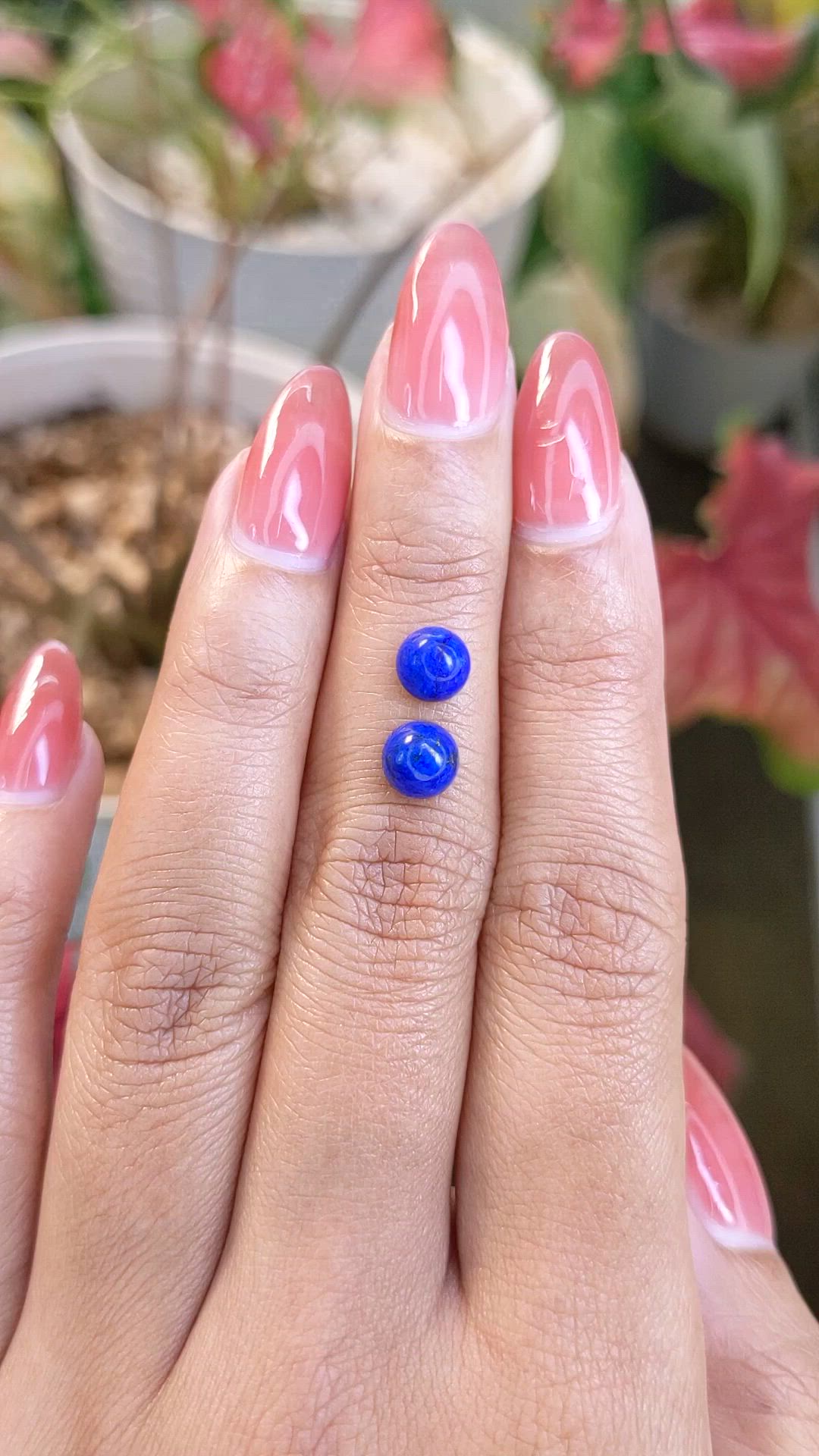 1.89 Ct.Tw.Total Carat Weight Cabochon Lapis Pair from Afghanistan Size Video