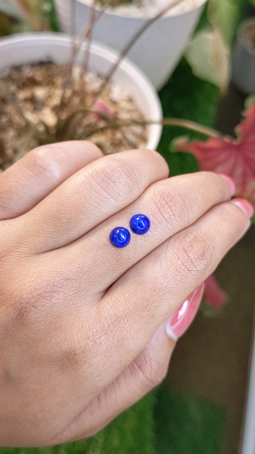 1.84&nbsp;Ct.Tw.Total Carat Weight Cabochon Lapis Pair from Afghanistan Size Video