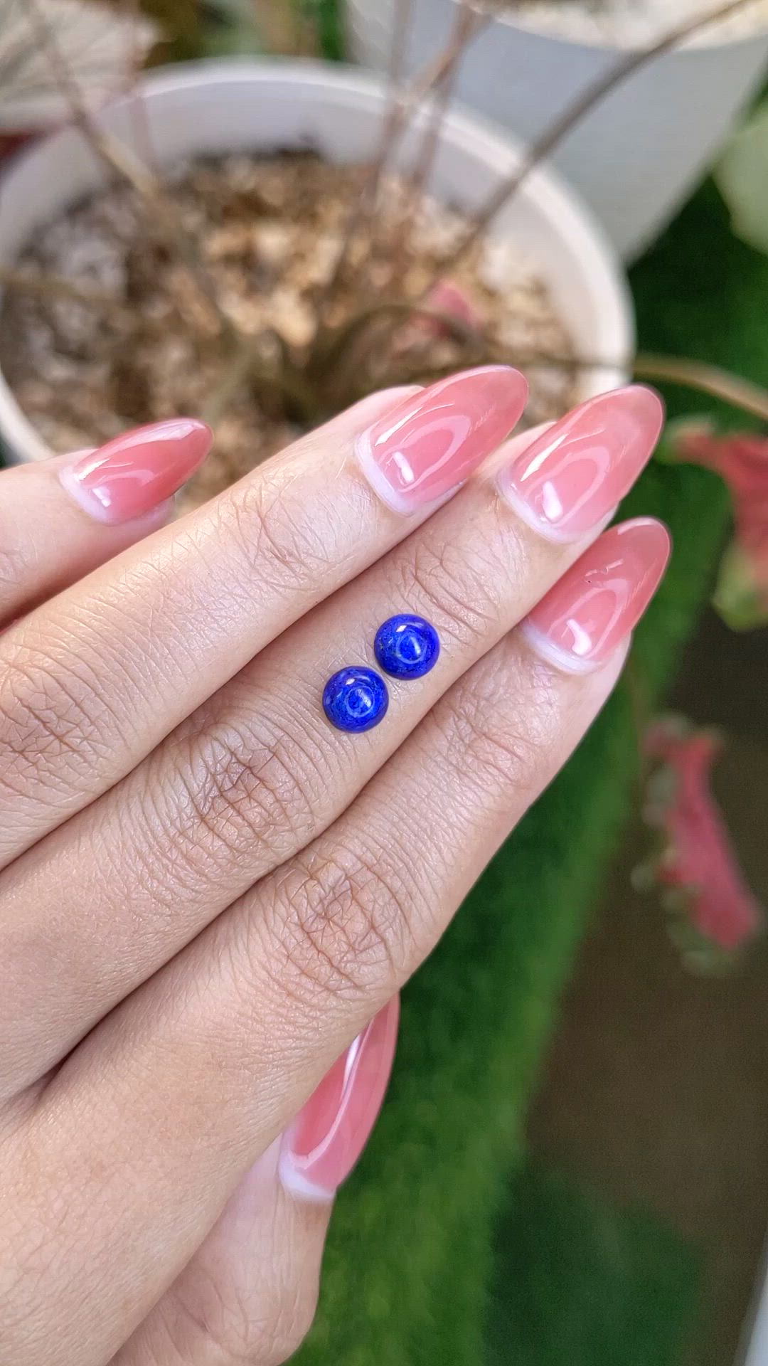 1.84&nbsp;Ct.Tw.Total Carat Weight Cabochon Lapis Pair from Afghanistan Size Video