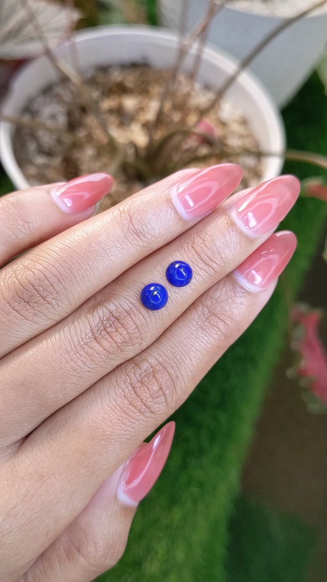 1.80&nbsp;Ct.Tw.Total Carat Weight Cabochon Lapis Pair from Afghanistan Size Video