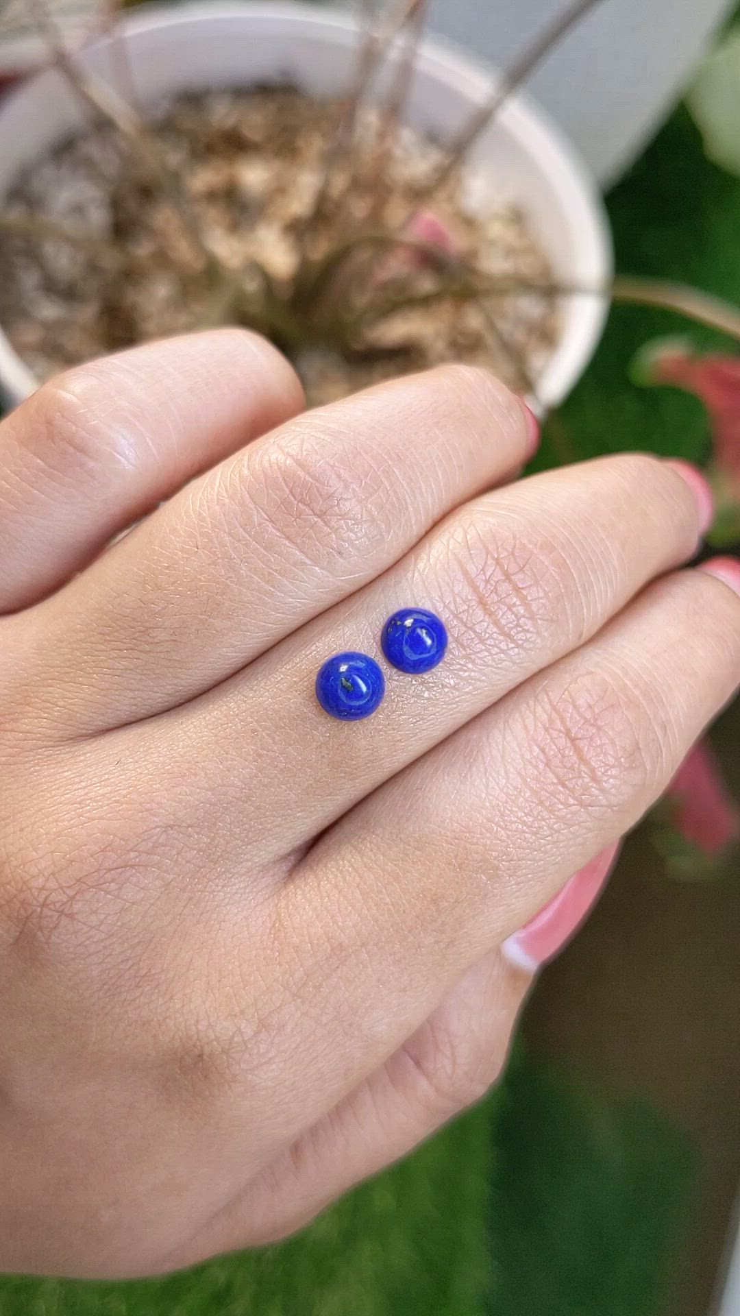 1.80&nbsp;Ct.Tw.Total Carat Weight Cabochon Lapis Pair from Afghanistan Size Video