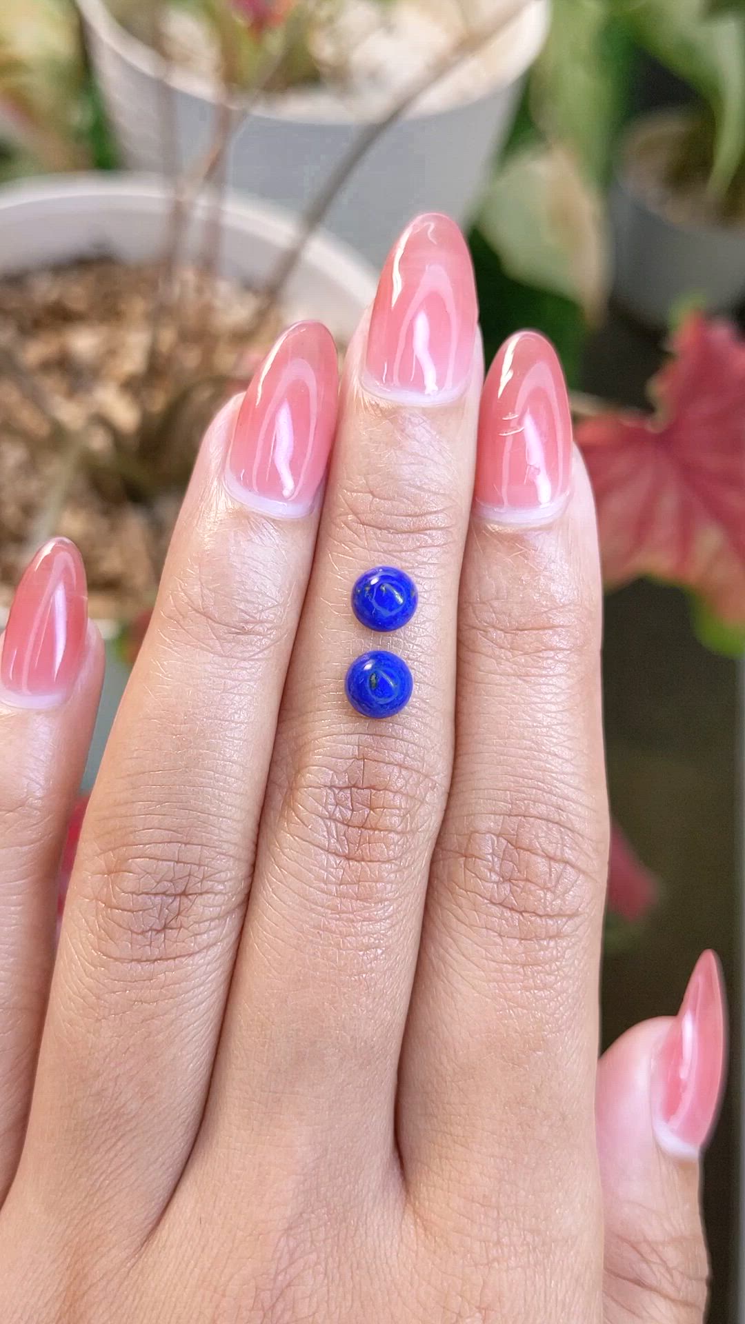 1.80&nbsp;Ct.Tw.Total Carat Weight Cabochon Lapis Pair from Afghanistan Size Video