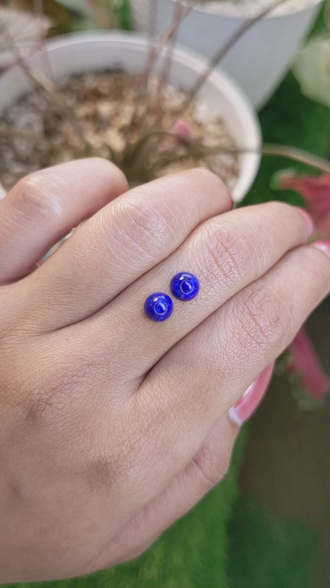 1.83 Ct.Tw.Total Carat Weight Cabochon Lapis Pair from Afghanistan Size Video