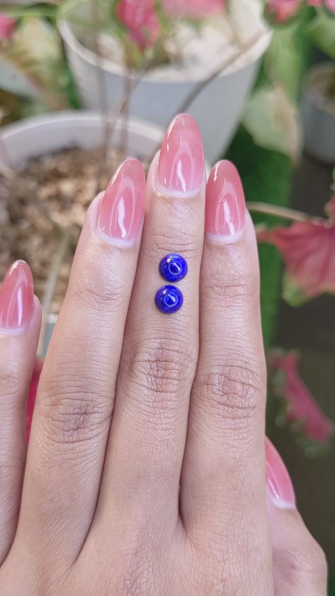 1.83 Ct.Tw.Total Carat Weight Cabochon Lapis Pair from Afghanistan Size Video