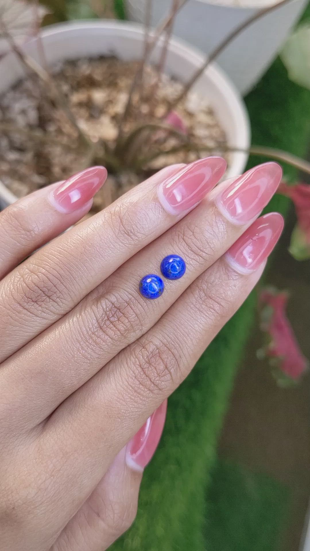 1.95 Ct.Tw.Total Carat Weight Cabochon Lapis Pair from Afghanistan Size Video