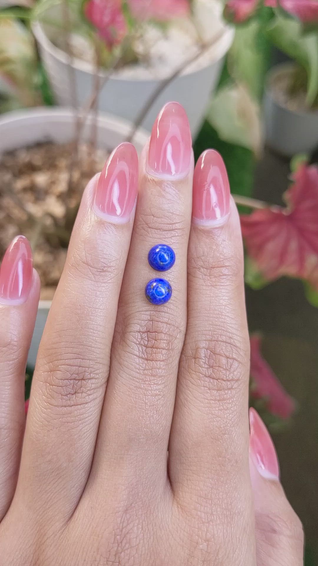 1.95 Ct.Tw.Total Carat Weight Cabochon Lapis Pair from Afghanistan Size Video