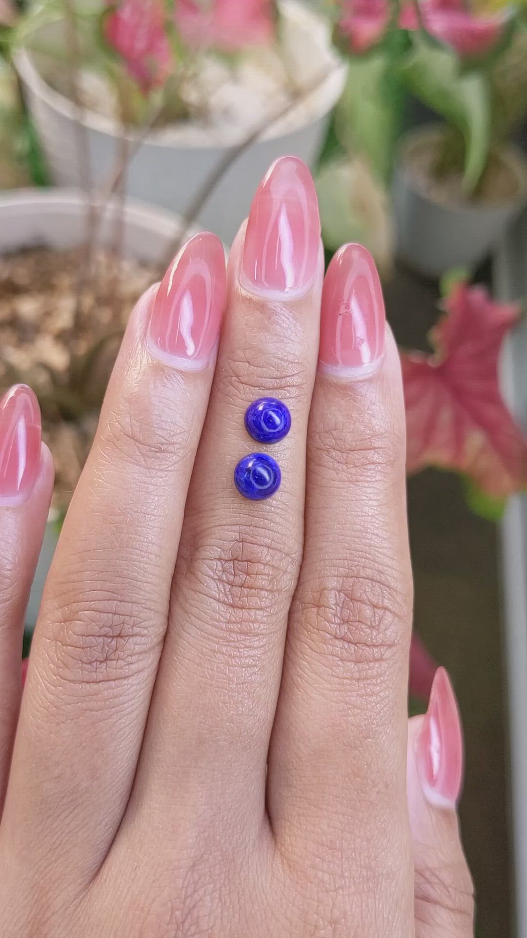 1.87 Ct.Tw.Total Carat Weight Cabochon Lapis Pair from Afghanistan Size Video