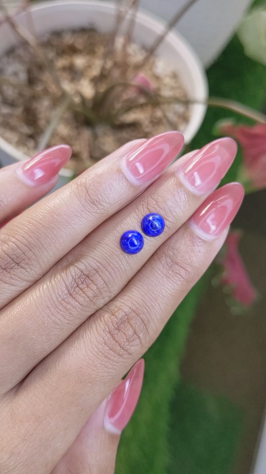 1.98&nbsp;Ct.Tw.Total Carat Weight Cabochon Lapis Pair from Afghanistan Size Video