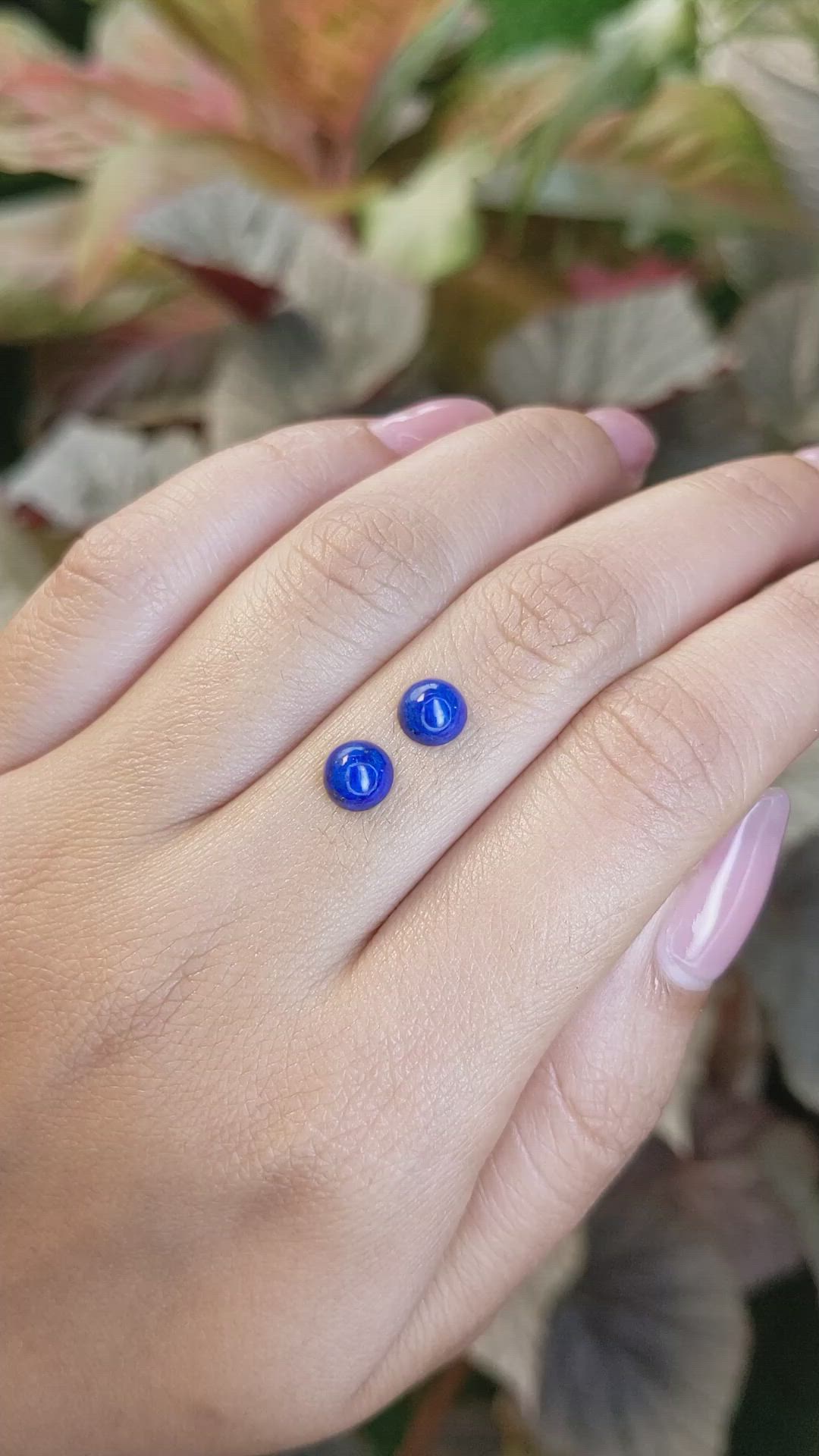 1.99 Ct.Tw.Total Carat Weight Cabochon Lapis Pair from Afghanistan Size Video