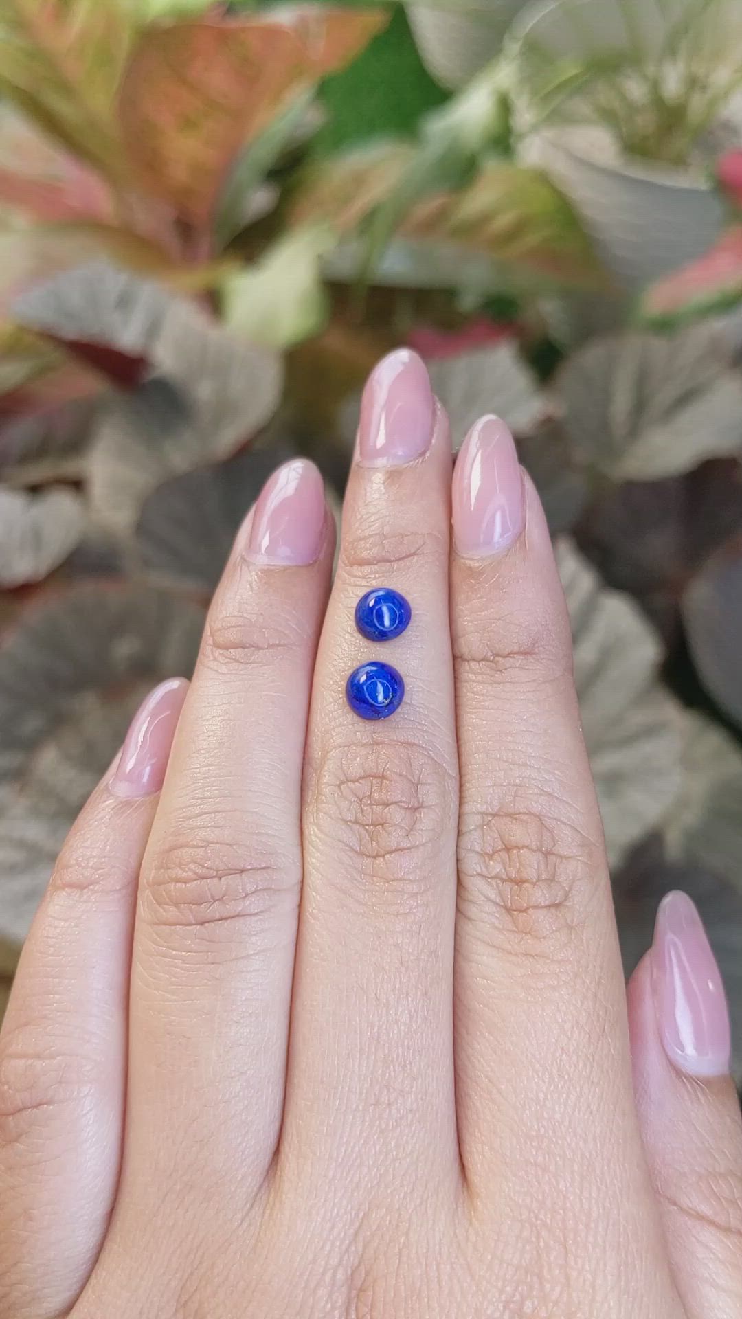 1.99 Ct.Tw.Total Carat Weight Cabochon Lapis Pair from Afghanistan Size Video