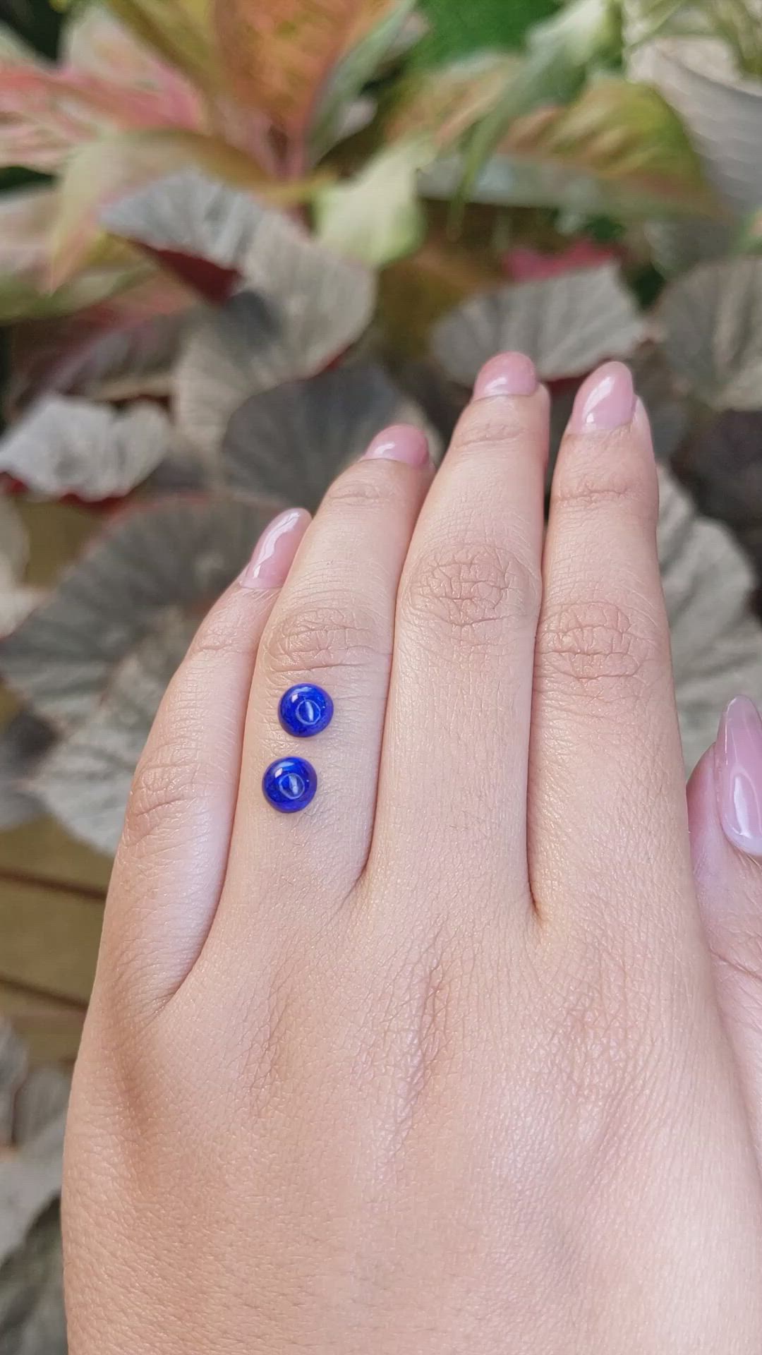 1.95 Ct.Tw.Total Carat Weight Cabochon Lapis Pair from Afghanistan Size Video