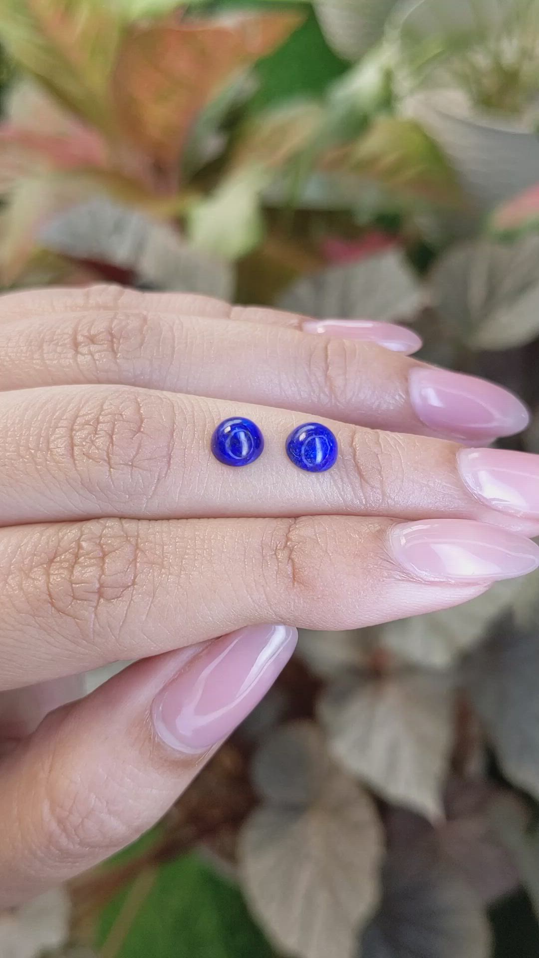 1.95 Ct.Tw.Total Carat Weight Cabochon Lapis Pair from Afghanistan Size Video