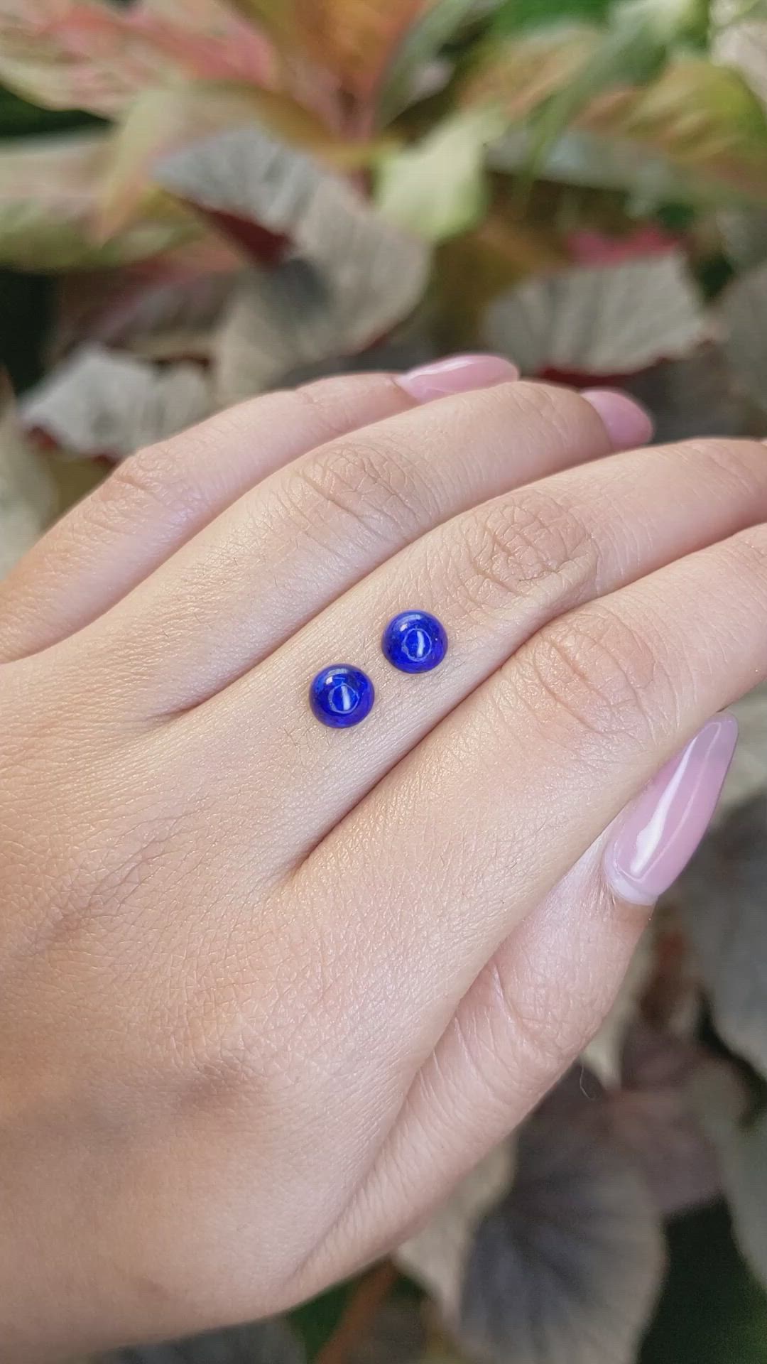 1.95 Ct.Tw.Total Carat Weight Cabochon Lapis Pair from Afghanistan Size Video