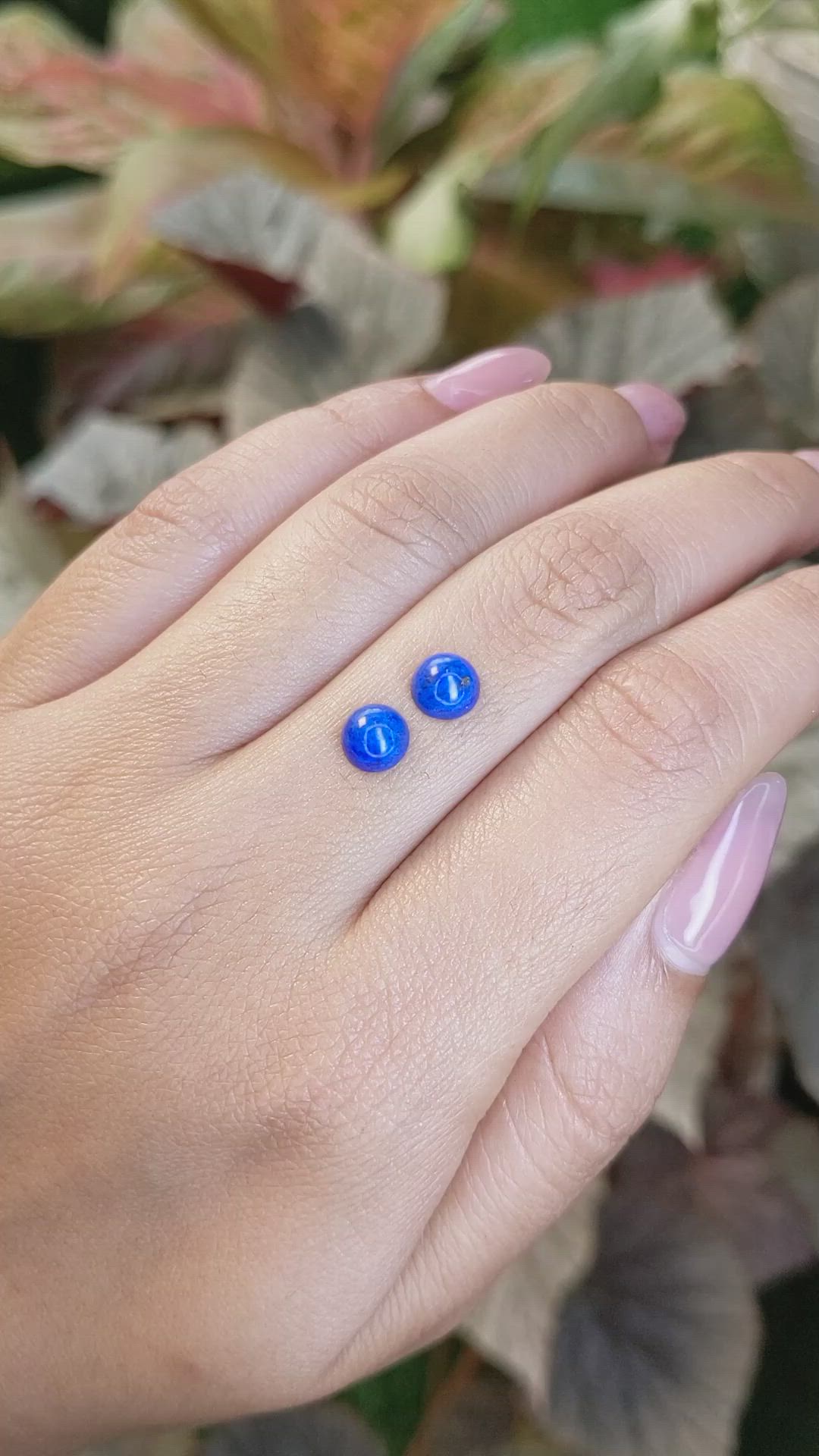 1.90 Ct.Tw.Total Carat Weight Cabochon Lapis Pair from Afghanistan Size Video