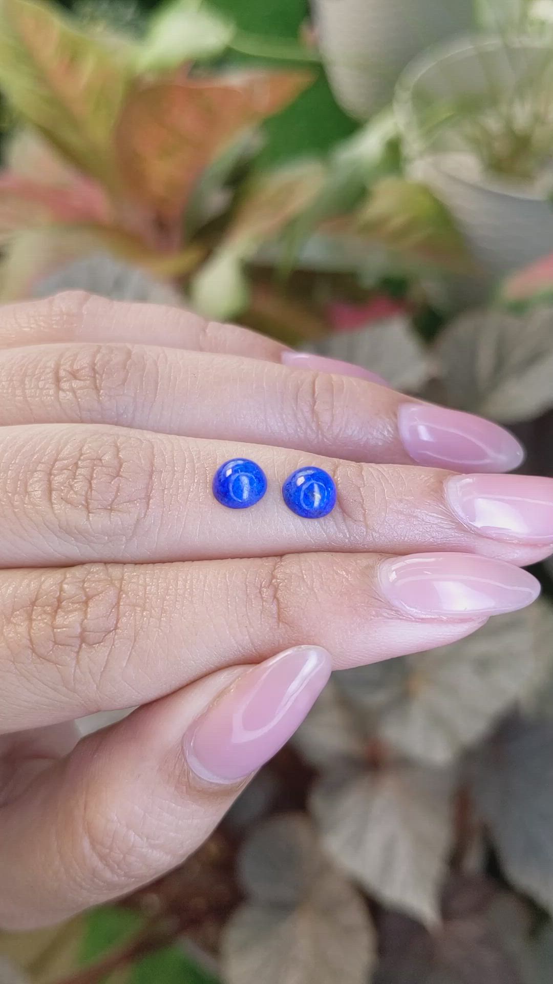 1.90 Ct.Tw.Total Carat Weight Cabochon Lapis Pair from Afghanistan Size Video