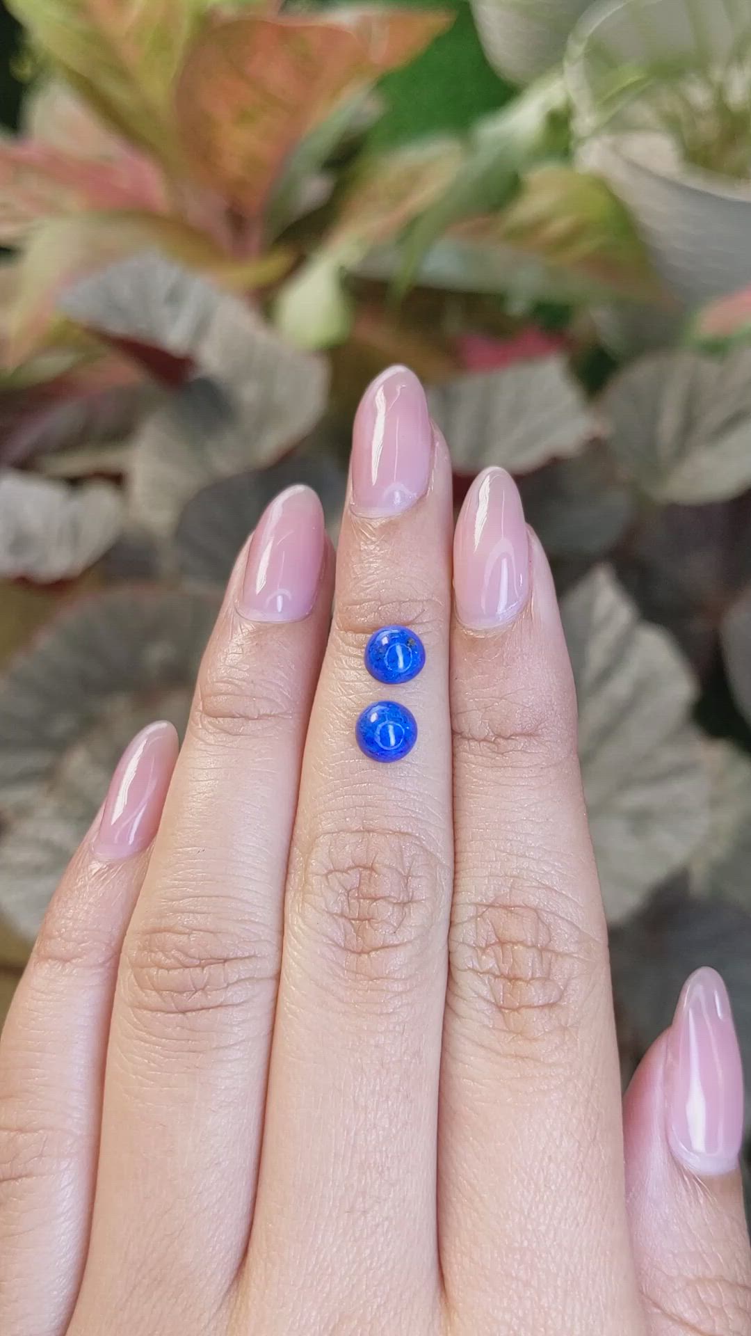 1.90 Ct.Tw.Total Carat Weight Cabochon Lapis Pair from Afghanistan Size Video