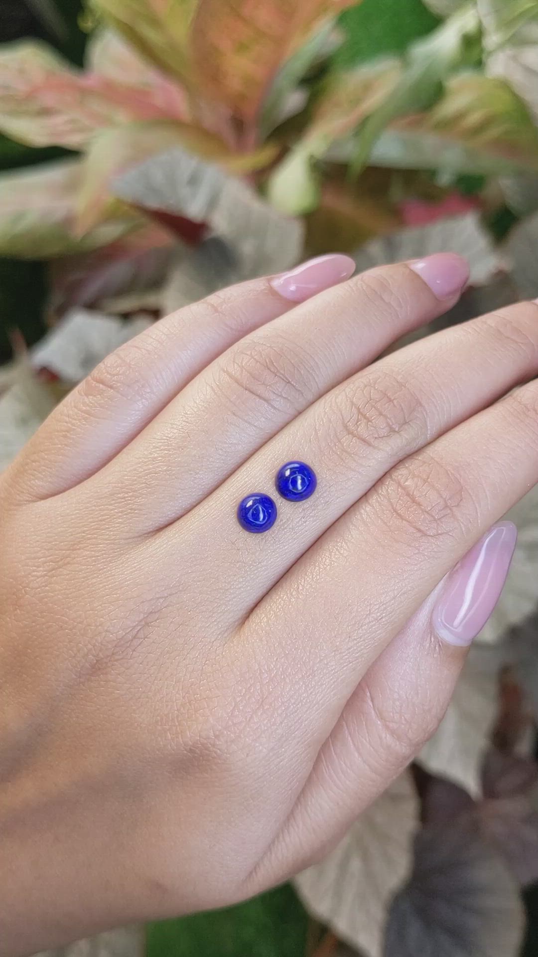 1.60&nbsp;Ct.Tw.Total Carat Weight Cabochon Lapis Pair from Afghanistan Size Video