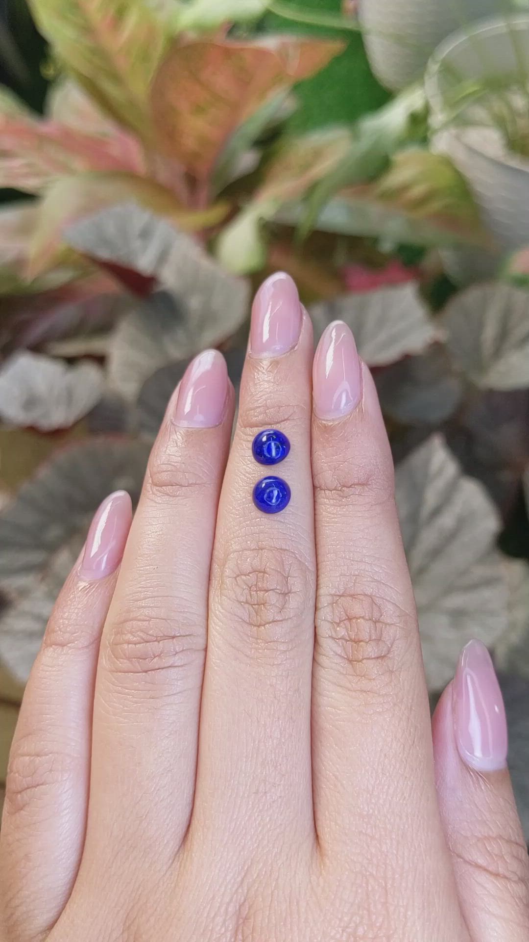 1.60&nbsp;Ct.Tw.Total Carat Weight Cabochon Lapis Pair from Afghanistan Size Video