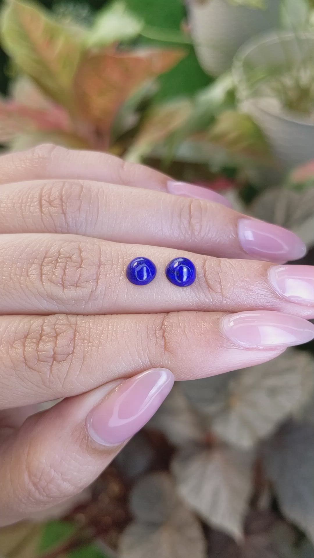 1.60&nbsp;Ct.Tw.Total Carat Weight Cabochon Lapis Pair from Afghanistan Size Video
