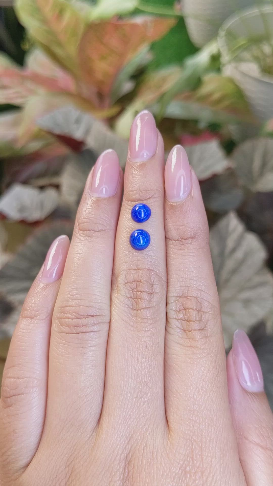 1.67&nbsp;Ct.Tw.Total Carat Weight Cabochon Lapis Pair from Afghanistan Size Video