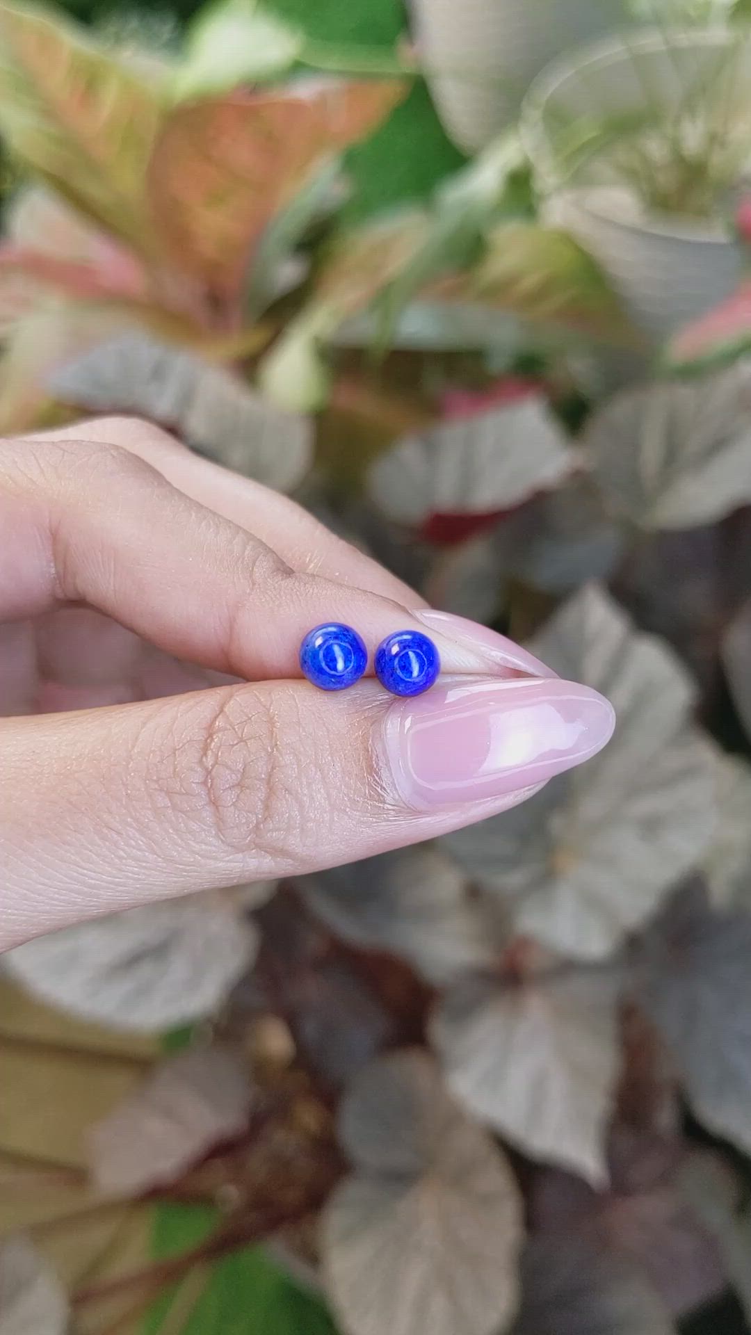 1.67&nbsp;Ct.Tw.Total Carat Weight Cabochon Lapis Pair from Afghanistan Size Video