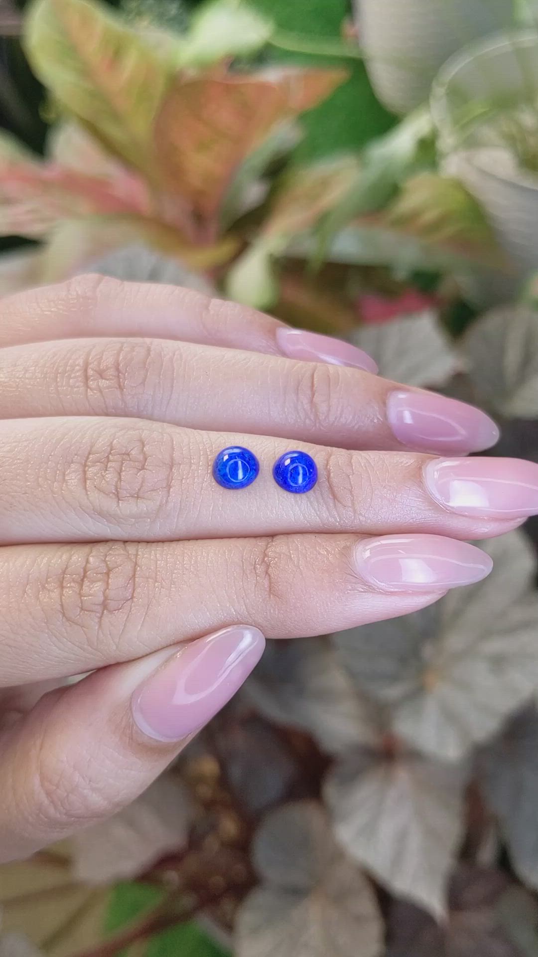 1.67&nbsp;Ct.Tw.Total Carat Weight Cabochon Lapis Pair from Afghanistan Size Video