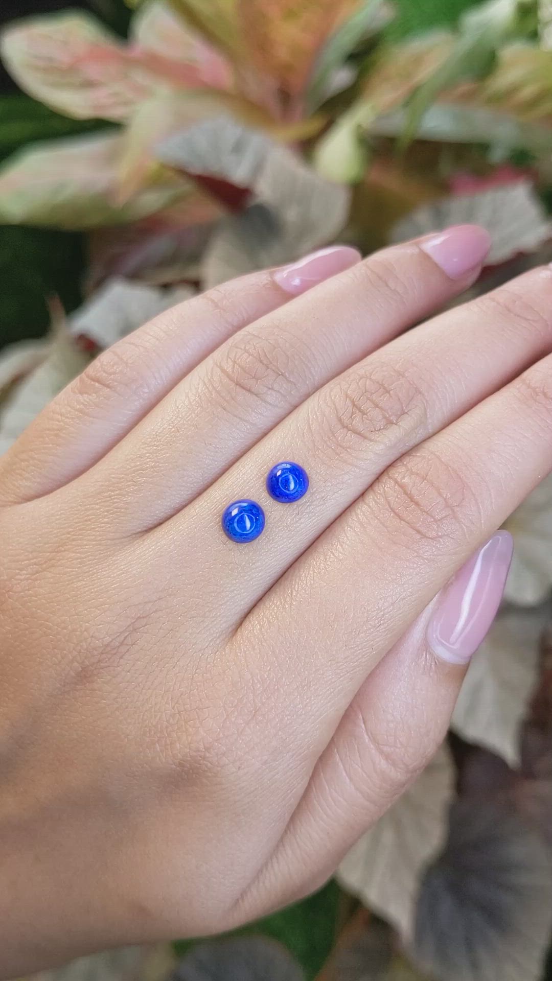 1.67&nbsp;Ct.Tw.Total Carat Weight Cabochon Lapis Pair from Afghanistan Size Video