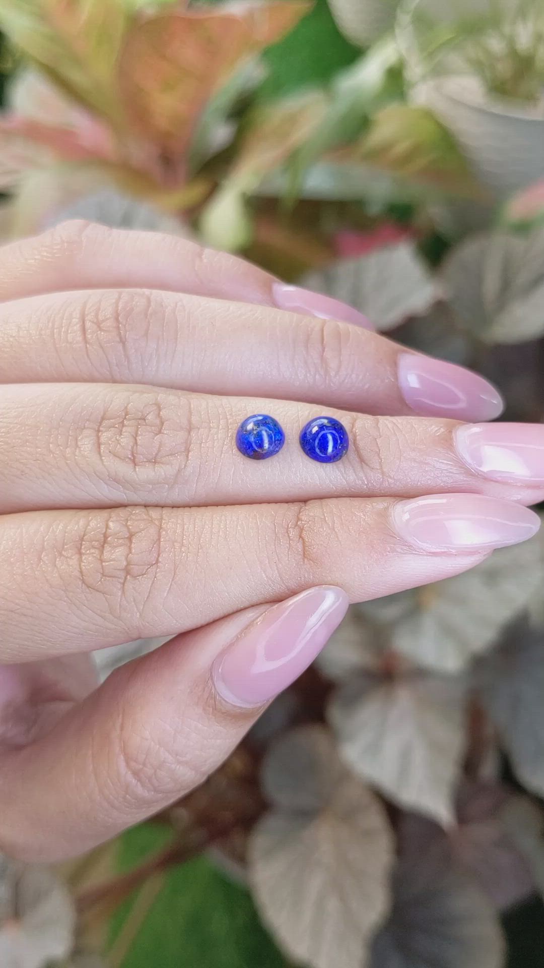 1.92 Ct.Tw.Total Carat Weight Cabochon Lapis Pair from Afghanistan Size Video