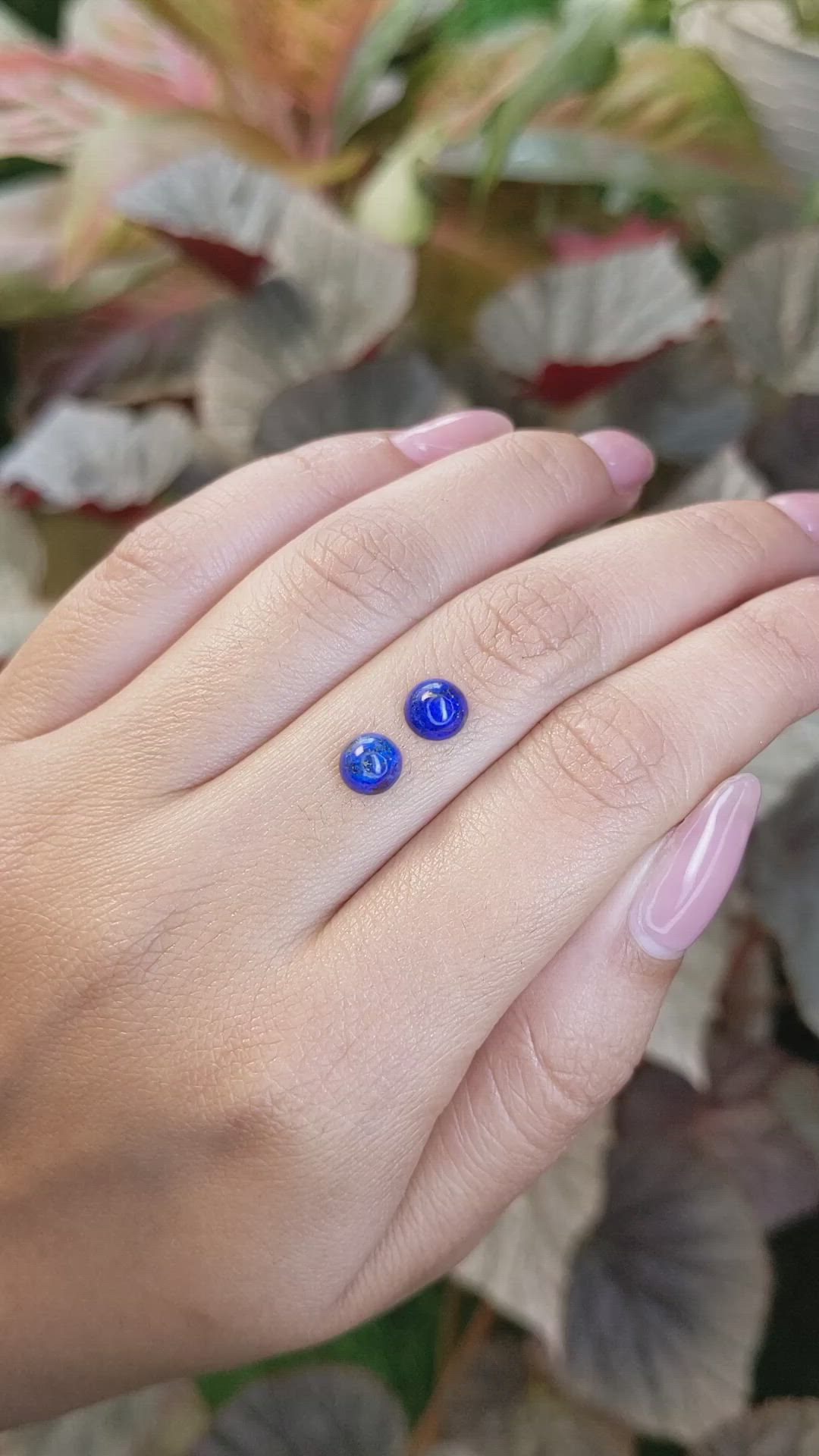 1.92 Ct.Tw.Total Carat Weight Cabochon Lapis Pair from Afghanistan Size Video
