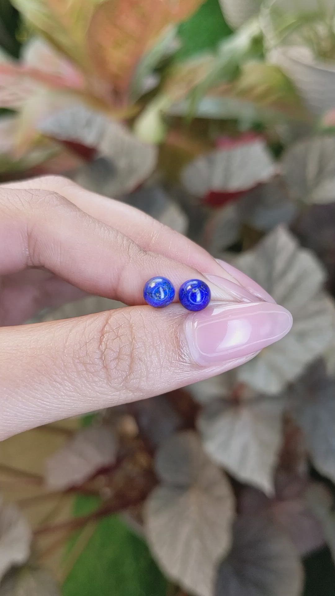 1.92 Ct.Tw.Total Carat Weight Cabochon Lapis Pair from Afghanistan Size Video